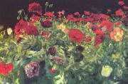 John Singer Sargent Poppies oil painting on canvas